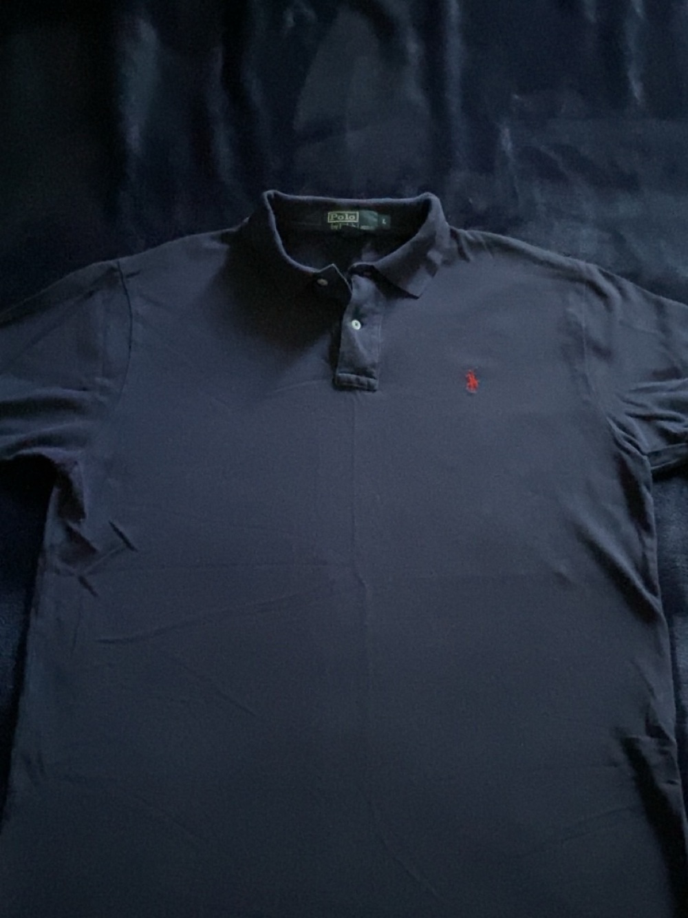 Polo by Ralph Lauren Navy Polo with Red Pony Logo